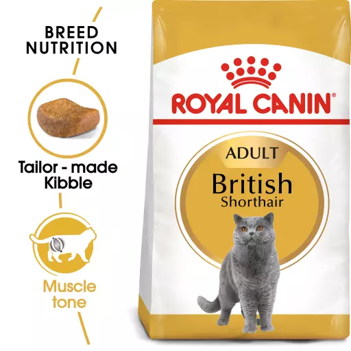 Royal Canin British Adult 4kg Dry Makanan Kucing Dewasa - Feline Breed Nutrition