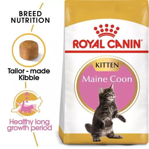 Royal Canin Maine Coon Kitten 400gr Dry Makanan Anak Kucing - Feline Breed Nutrition